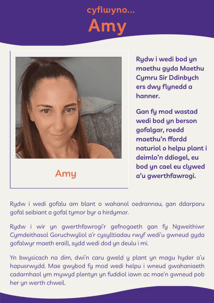 Cyflwyno Amy